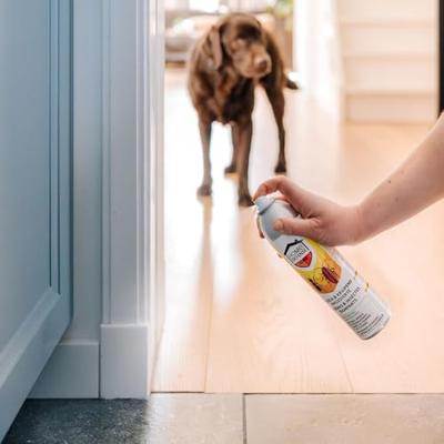 KB Bestrijding Hd mieren kruipend ongedierte spray pesticidevrij 300ml