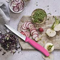 Victorinox SwissClassic 6.7736 Roestvrijstaal Schilmes - thumbnail