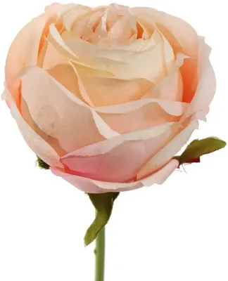 Pure Royal kunsttak roos 54cm peach