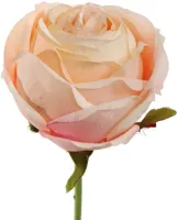 Pure Royal kunsttak roos 54cm peach - thumbnail