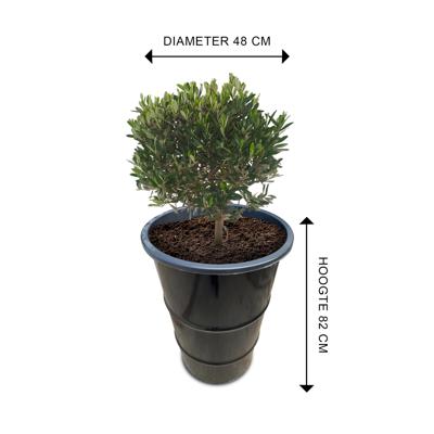Olievat plantenbak 120L