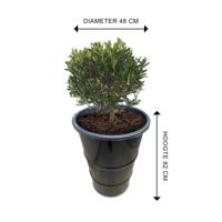 Olievat plantenbak 120L - thumbnail