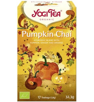 Pumpkin chai bio 17 Zakjes