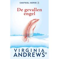 De gevallen engel (Paperback) - thumbnail