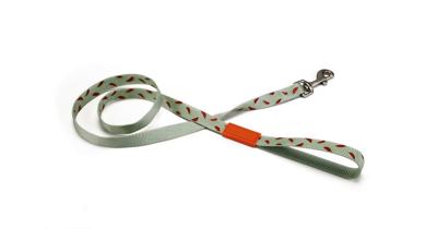 Beeztees Melon - Hondenriem - Lichtgroen - 120 Cm X 25 Mm