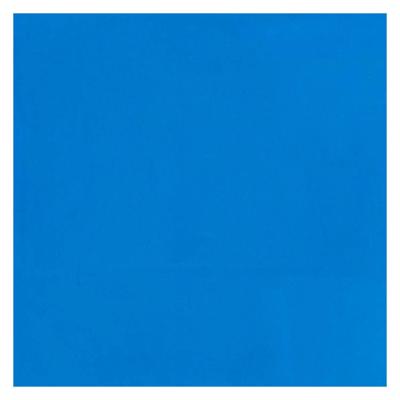 Bruynzeel Ecola plakkaatverf fles 16ml lichtblauw 501 Bruynzeel Ecola plakkaatverf fles 16ml lichtblauw 501