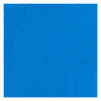 Bruynzeel Ecola plakkaatverf fles 16ml lichtblauw 501 - thumbnail