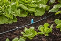 GARDENA 13316-20 Micro-Drip system Sproeier voor kleine oppervlakken 4,6 mm (3/16) - thumbnail