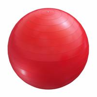 Fitnessbal Rood 75 cm incl. pomp - thumbnail