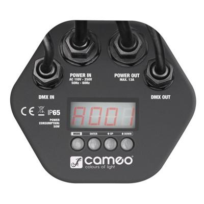 Cameo Cameo studio par Tri 12 IP
