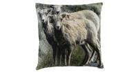 Fluwelen Kussen 3 Schapen (50 x 50 cm) - thumbnail