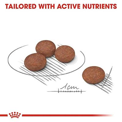 Royal Canin Mini Digestive Care hondenvoer 3 kg - thumbnail