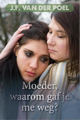 Een geschonden jeugd - Jan Frederik van der Poel - ebook