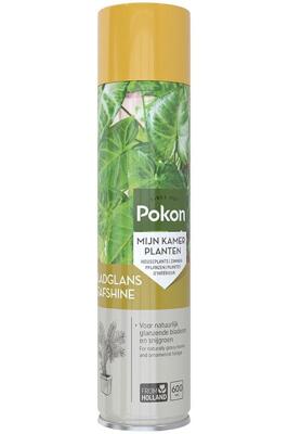 Pokon Bladglans Kamerplant 600ml