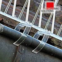 Swissinno 1 238 001K Spike-Clips Bevestigingsclips Geschikt voor merk Swissinno Duivenspikes 6 stuk(s) - thumbnail