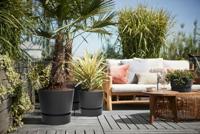 Bloempot Elho Zwart Plastic Cirkelvormig Modern Ø 47 cm - thumbnail