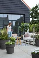 Elho Vibia Campana straight bloempot rond 25 cm antraciet - thumbnail