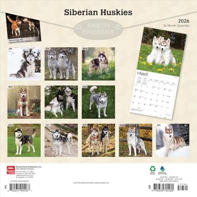 Siberian Husky Kalender 2026 Siberian Husky Kalender 2026
