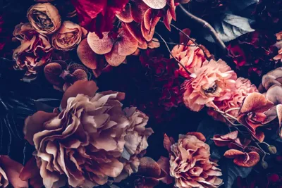 Alexsar Art Tuinschilderij rode bloemen 70x50cm