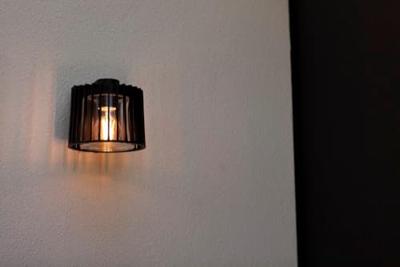 Shyne Muurlamp Zwart