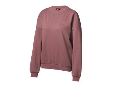 CRIVIT Dames trui (Bruin, XS (32/34)) CRIVIT Dames trui (Bruin, XS (32/34))