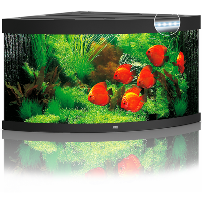 Juwel aquarium Trigon 350 LED met filter zwart Juwel Gebr. de Boon - Gebr de boon