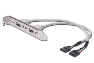 Digitus USB 2.0 Aansluitkabel [2x USB 2.0 stekker intern 5-polig - 2x USB 2.0 bus A] Kabel 25.00 cm