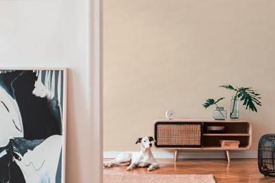 AS Creation Styleguide Trend Colours 2021 crème behang | 306896