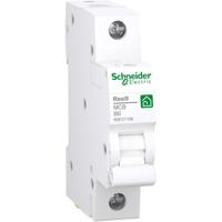 Schneider Electric R9F27106 Zekeringautomaat - thumbnail