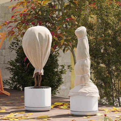 VidaXL Vorstbescherming plantvlies beige 50 x 1,6 m niet-geweven stof