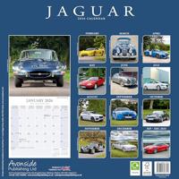 Jaguar Kalender 2026 - thumbnail