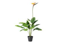 LIVARNO Kunstplant (Strelitzia) - thumbnail