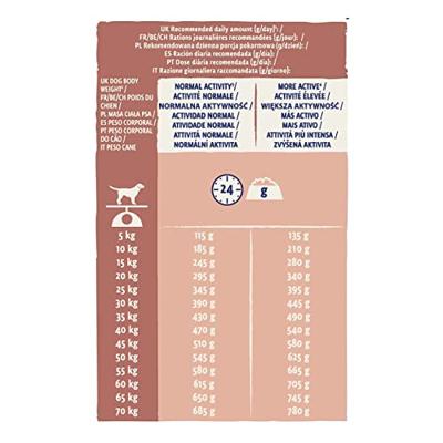 Purina DOG CHOW Sensitive Adult 14 kg Volwassen Zalm