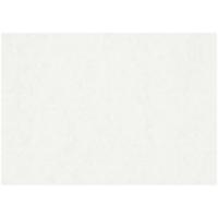 https://www.cchobby.nl/aquarelpapier-a2-vel-420x594-mm-200-gr-wit-100-vel-1-doos-22404 - thumbnail