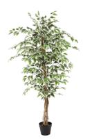 Kunstplant Ficus groen 160 cm - thumbnail
