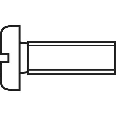 TOOLCRAFT 888679 Cilinderkopschroeven M2.5 6 mm Sleuf DIN 84 Staal Verzinkt 1 stuk(s)