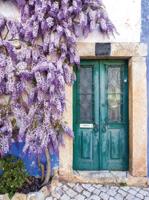 Seringen 50x70cm Tuinschilderij Customize-it - Customize it - thumbnail