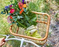 Basil green life - rotan fietsmand - large - voorop- natural bruin - thumbnail