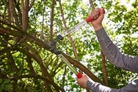 Felco Takkenschaar | lengte 500 mm | snijvermogen 35 mm | gewicht 800 g | 1 stuk - Felco 211-50 Felco 211-50 - thumbnail