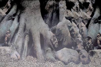 Deco Poster D6 150X61 Cm aquaria Superfish - Superfish