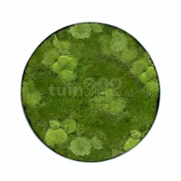 Mosschilderij Bol- en Platmos Ø50cm - thumbnail