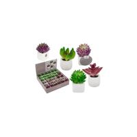 Magneet vetplant in pot 3x5cm - thumbnail