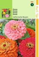 Zaden Zinnia Californische Reuzen gemengd Hortitops - Hortitops - thumbnail