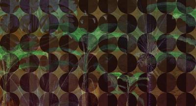 Muance Muance Fotobehang Tropicana Spheres - MU11002