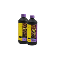 Atami Atami B'cuzz Aarde - thumbnail