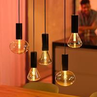 Philips Hue Lightguide - 6,5W - White and color - Ellipse - 929003151301 - thumbnail