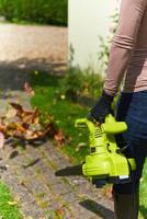 Ryobi RBV2800CSV | 2800W Bladblazer - 5133004883 - thumbnail