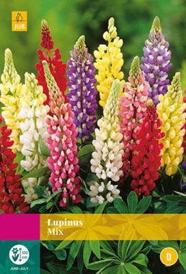 Bloembollen Lupinus Mix 10st Bloembollen Lupinus Mix 10st