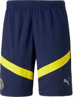 Fenerbahçe Trainingsshort Senior 2022-2023 - Maat XXL - Kleur: Blauw | Soccerfanshop - thumbnail