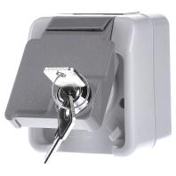 Merten MEG2423-8029 Wandcontactdoos AquaStar Lichtgrijs 1 stuk(s) - thumbnail